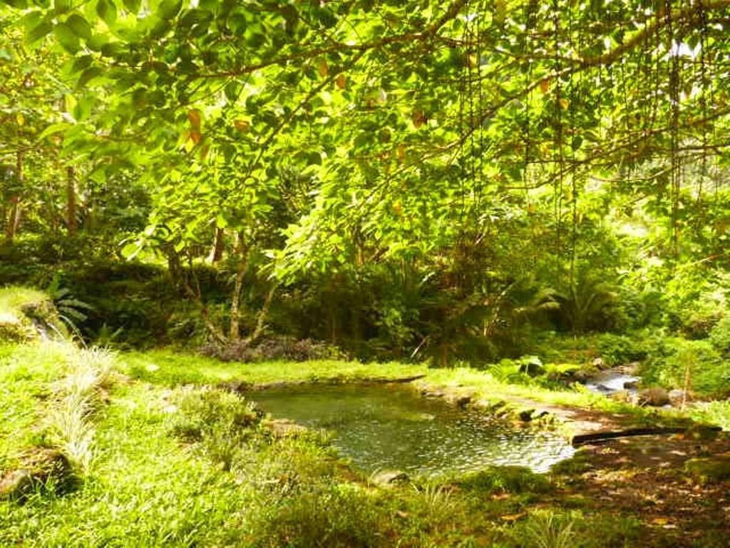 Somewhere Else Boutique Resort マンバヤオ エクステリア 写真