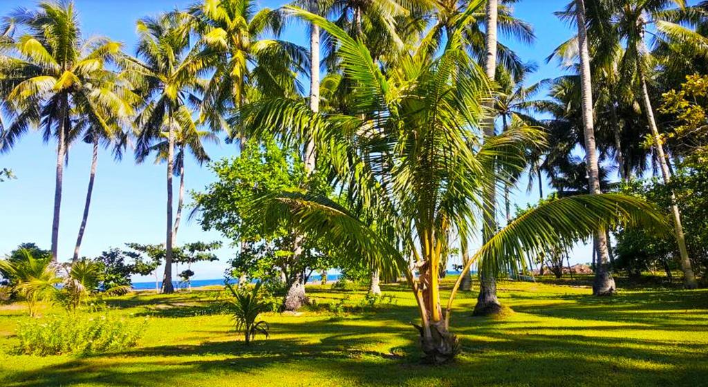 Somewhere Else Boutique Resort マンバヤオ エクステリア 写真